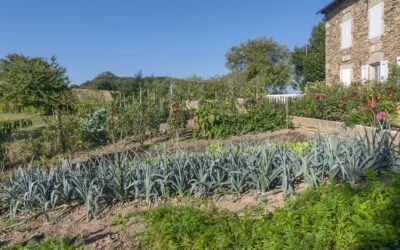 Dans le jardin